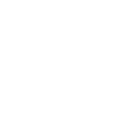 256x256 White Sheep Icon