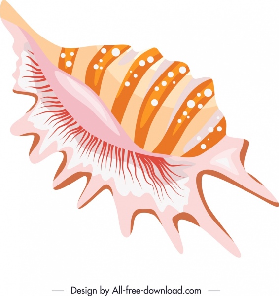 566x600 Sea Shell Icon Bright Colored Sketch Free Vector In Adobe
