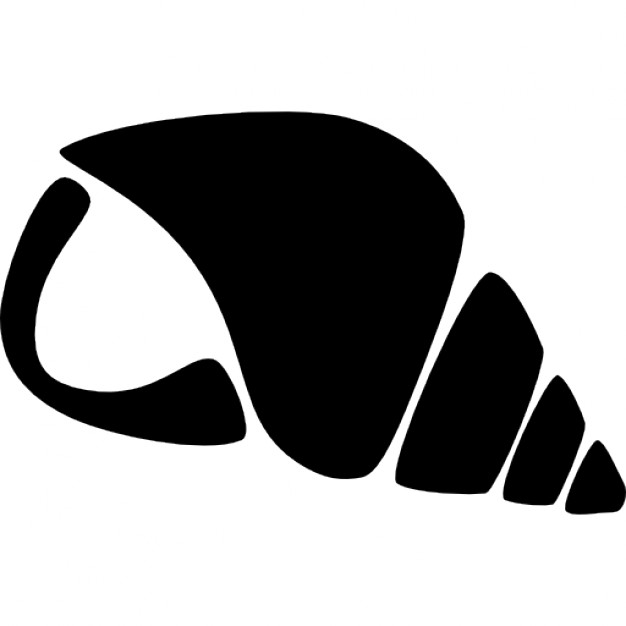 626x626 Seashell Icon