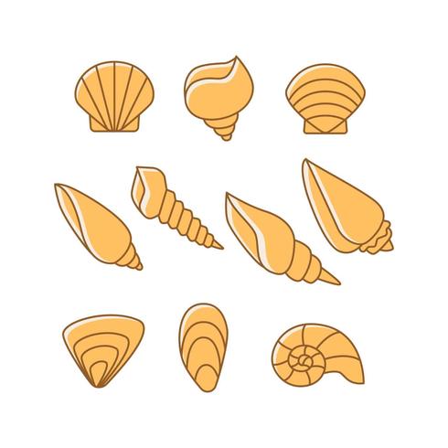 490x490 Shell Icon Vector