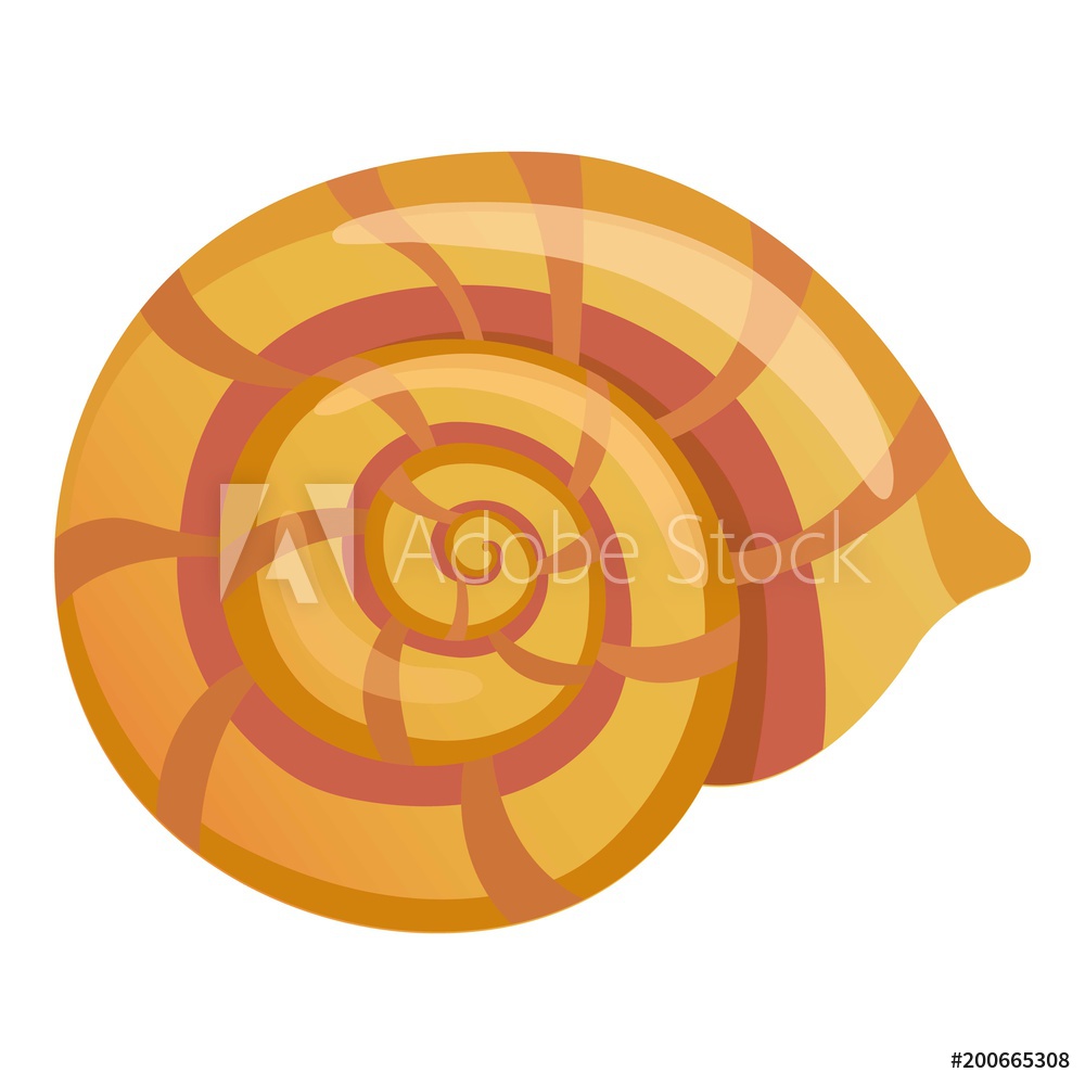 1000x1000 Fotografie, Obraz Mollusk Shell Icon Posters Cz