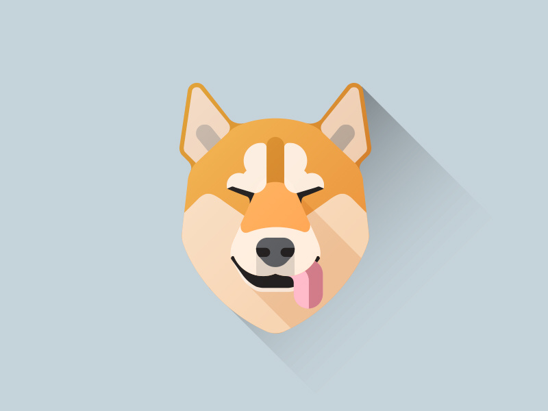 800x600 Shiba Inu Icon