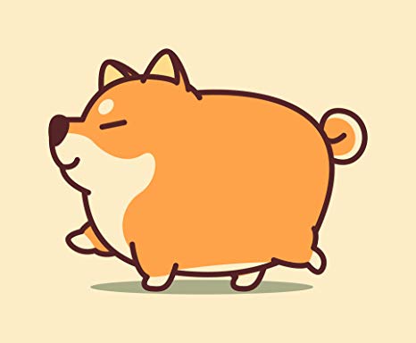 466x384 Cute Fat Shiba Inu Fox Puppy Dog Trotting Prancing