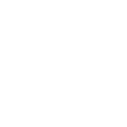 256x256 White Shoe Icon