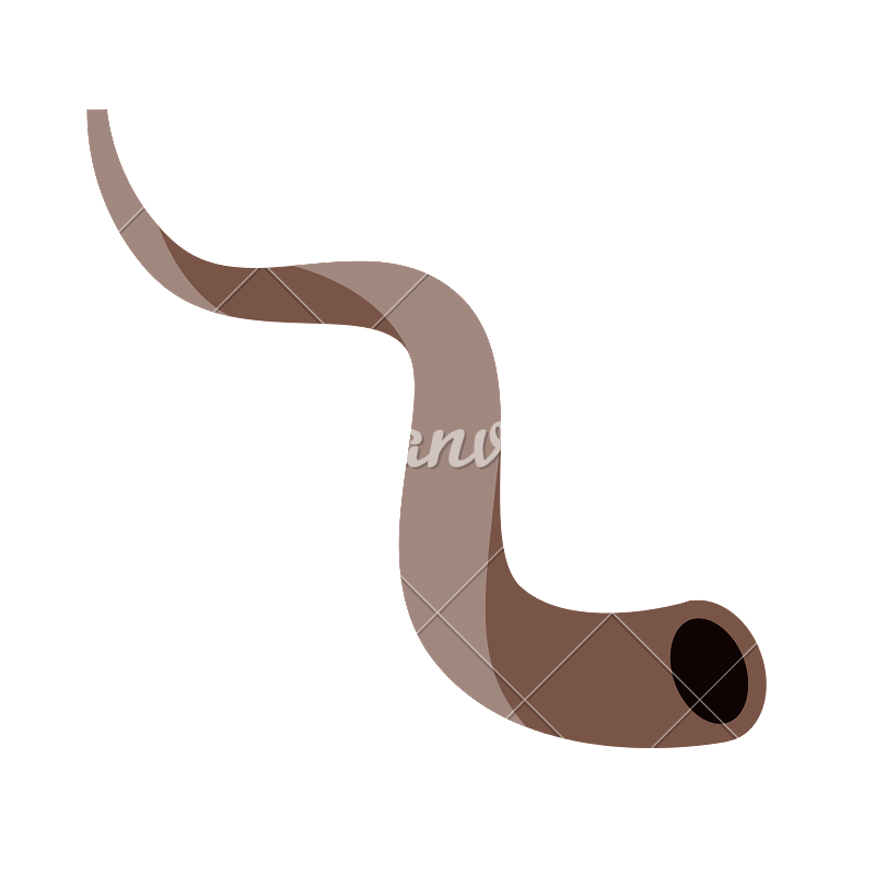 800x800 Shofar