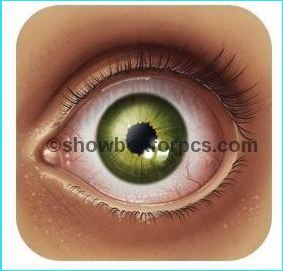 283x271 Showbox For Pc Download On Windows