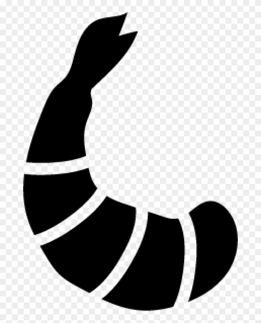 880x1089 Shrimp Icon Vector Clipart