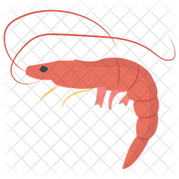 256x256 Shrimp Icon Of Flat Style
