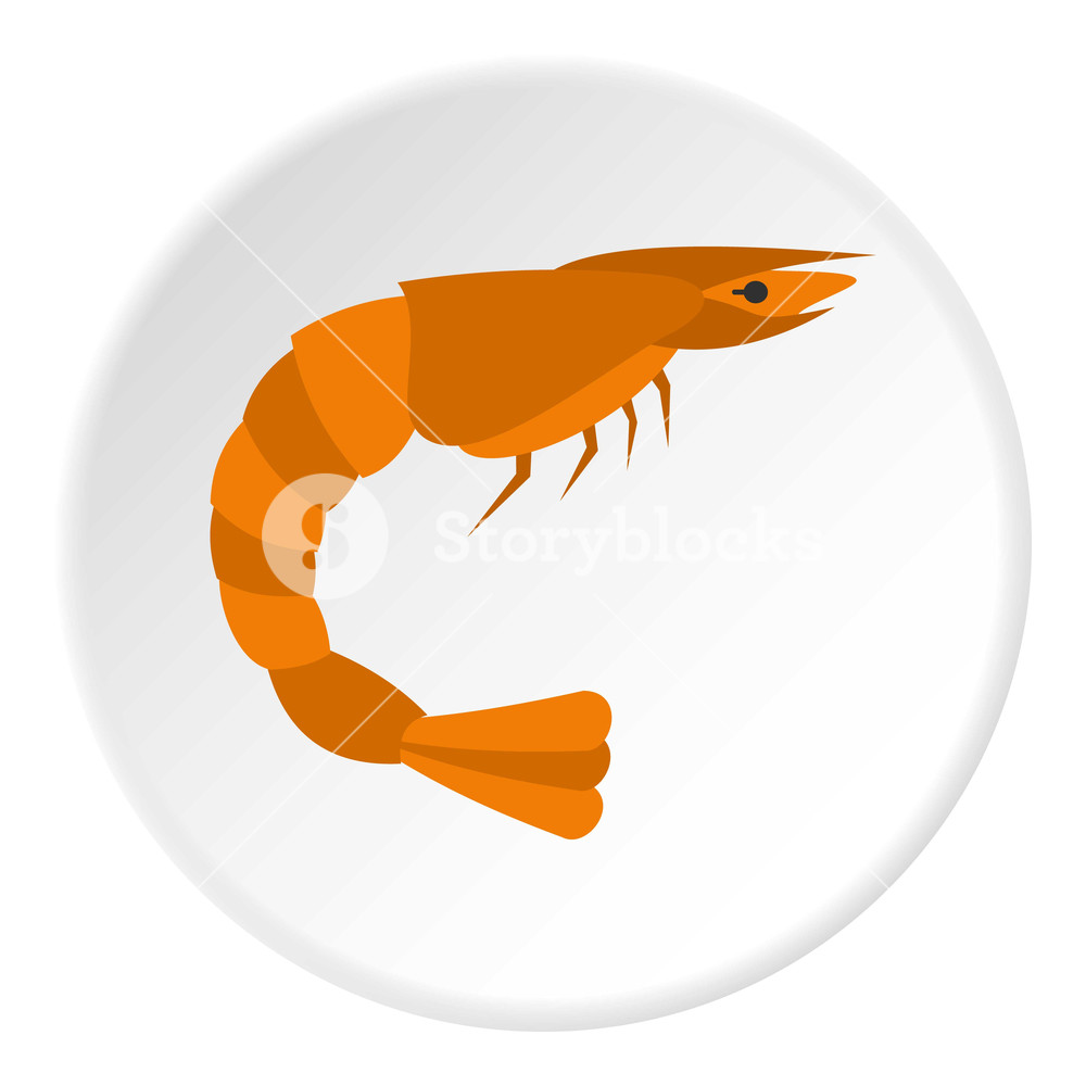 1000x1000 Orange Shrimp Icon In Flat Circle Isolated On White Background