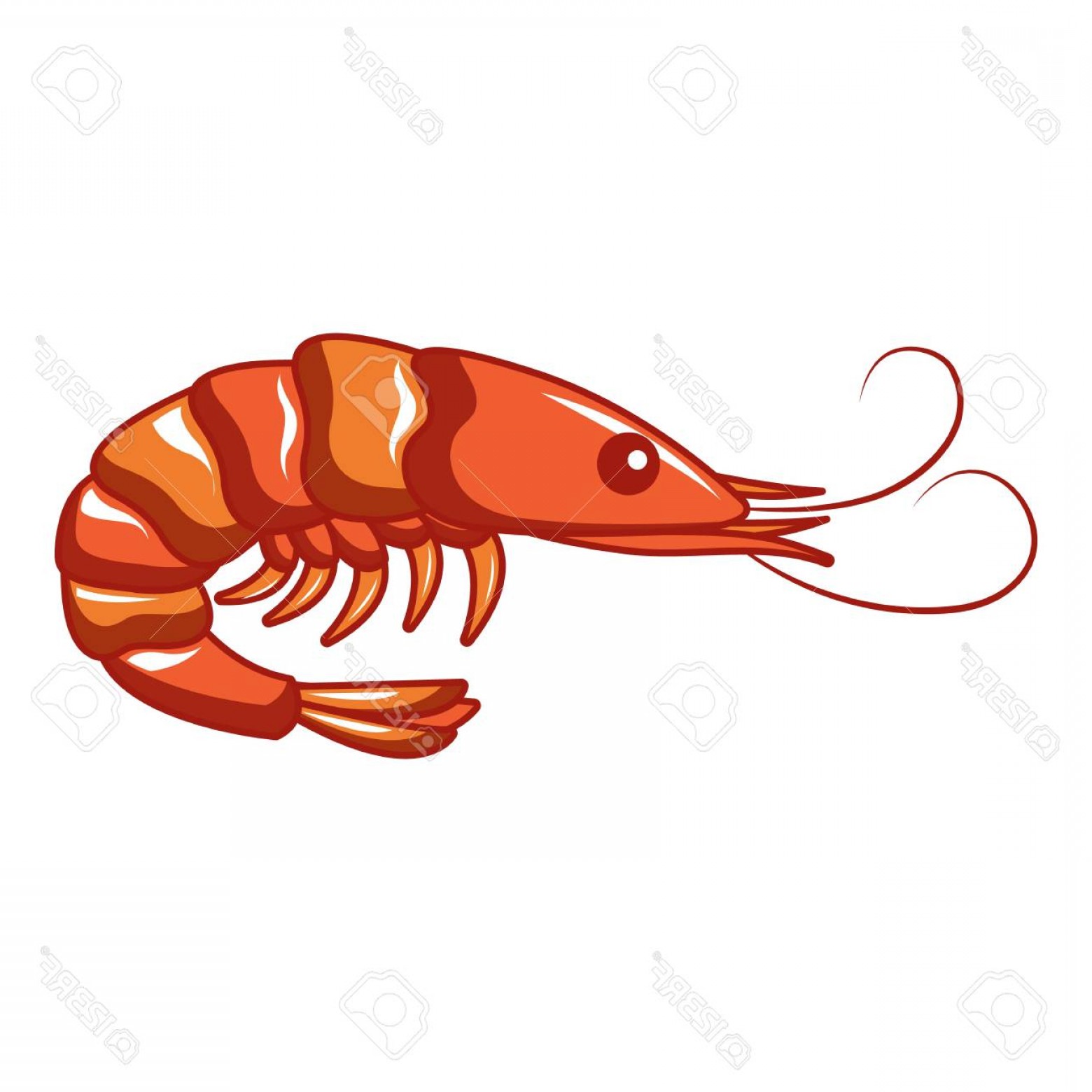 1560x1560 Photostock Vector Ocean Shrimp Icon Cartoon Of Ocean Shrimp Vector