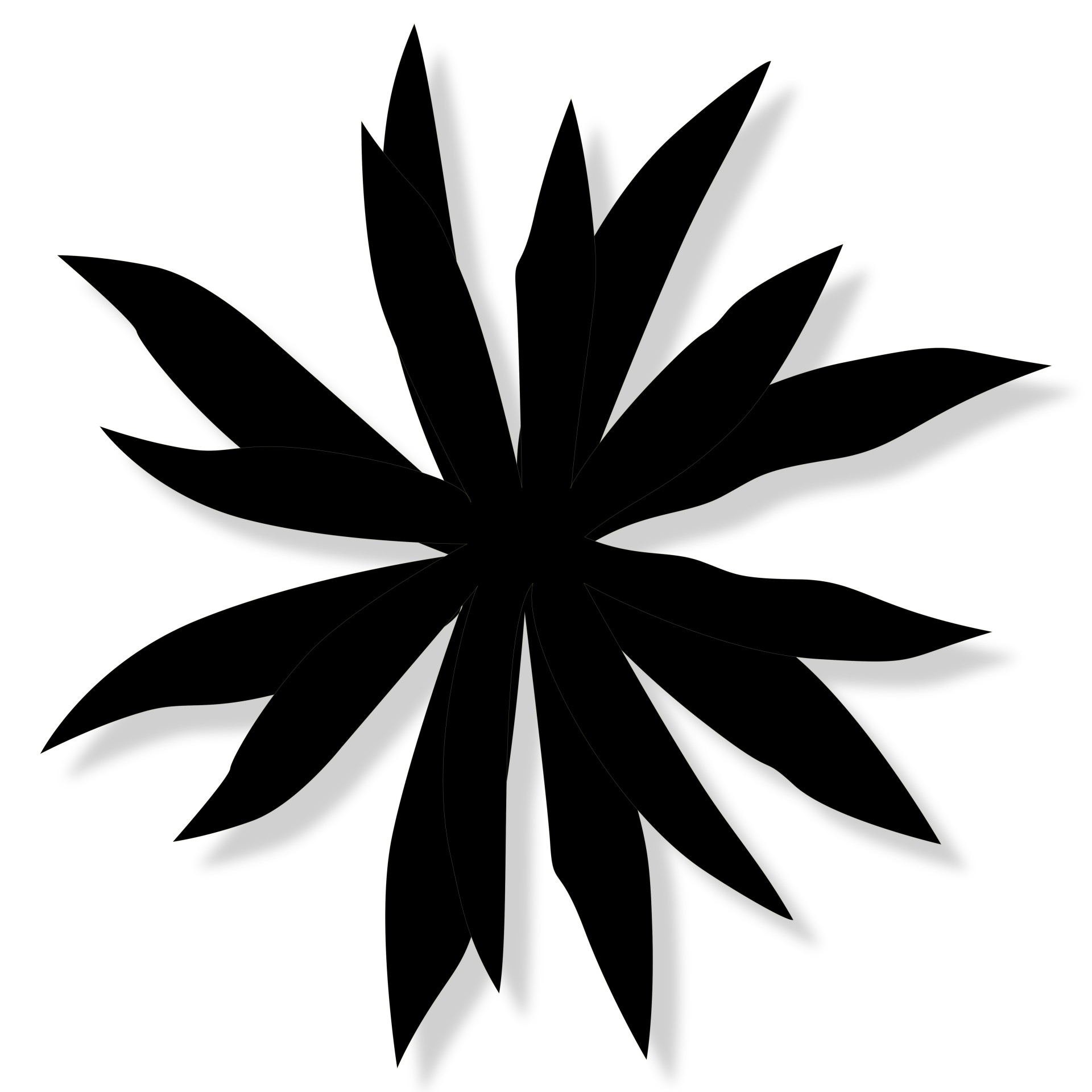 1920x1920 Shrub, Isolated, Tree, Natural, Park