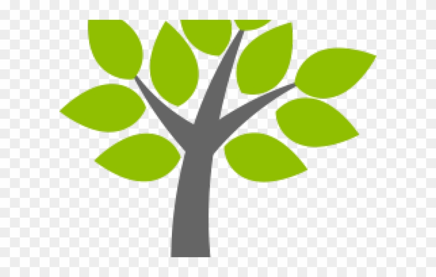 880x560 Shrub Clipart Tall