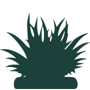 180x180 Tree Shrub Care Icon Old Field Landscaping, Inc