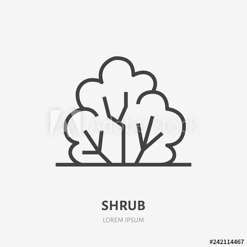 500x500 Bush Flat Line Icon Vector Thin Sign Of Park Plant, Ecology Logo