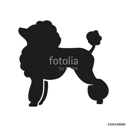 500x500 Poodle Silhouette Icon Stock Image And Royalty Free Vector
