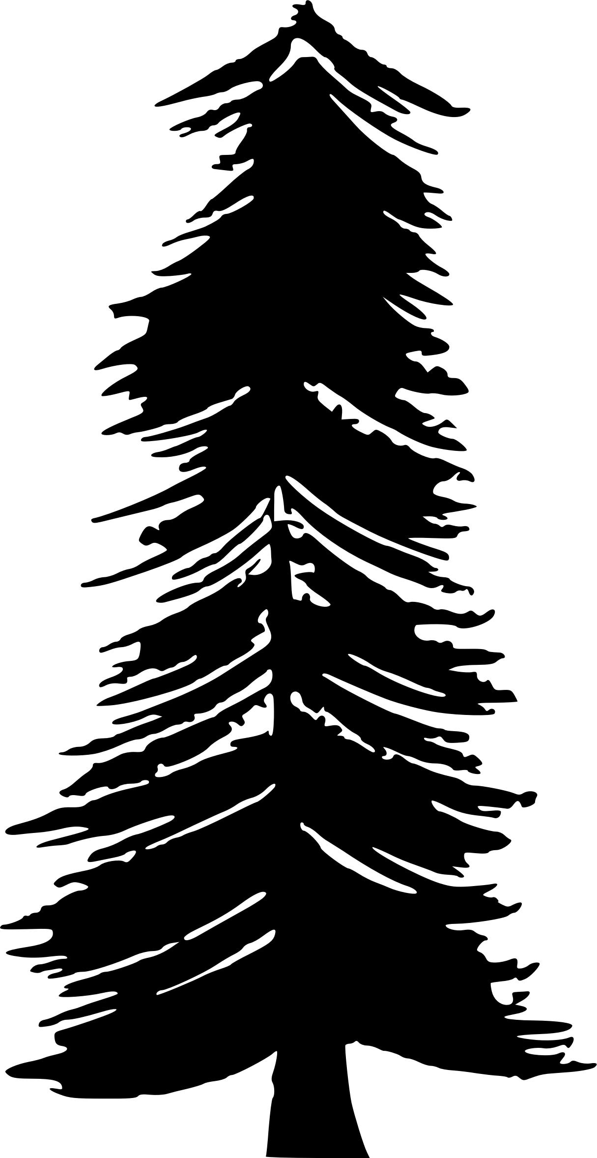 1215x2355 Transparent Background Christmas Tree Bampw Silhouette Icons Png