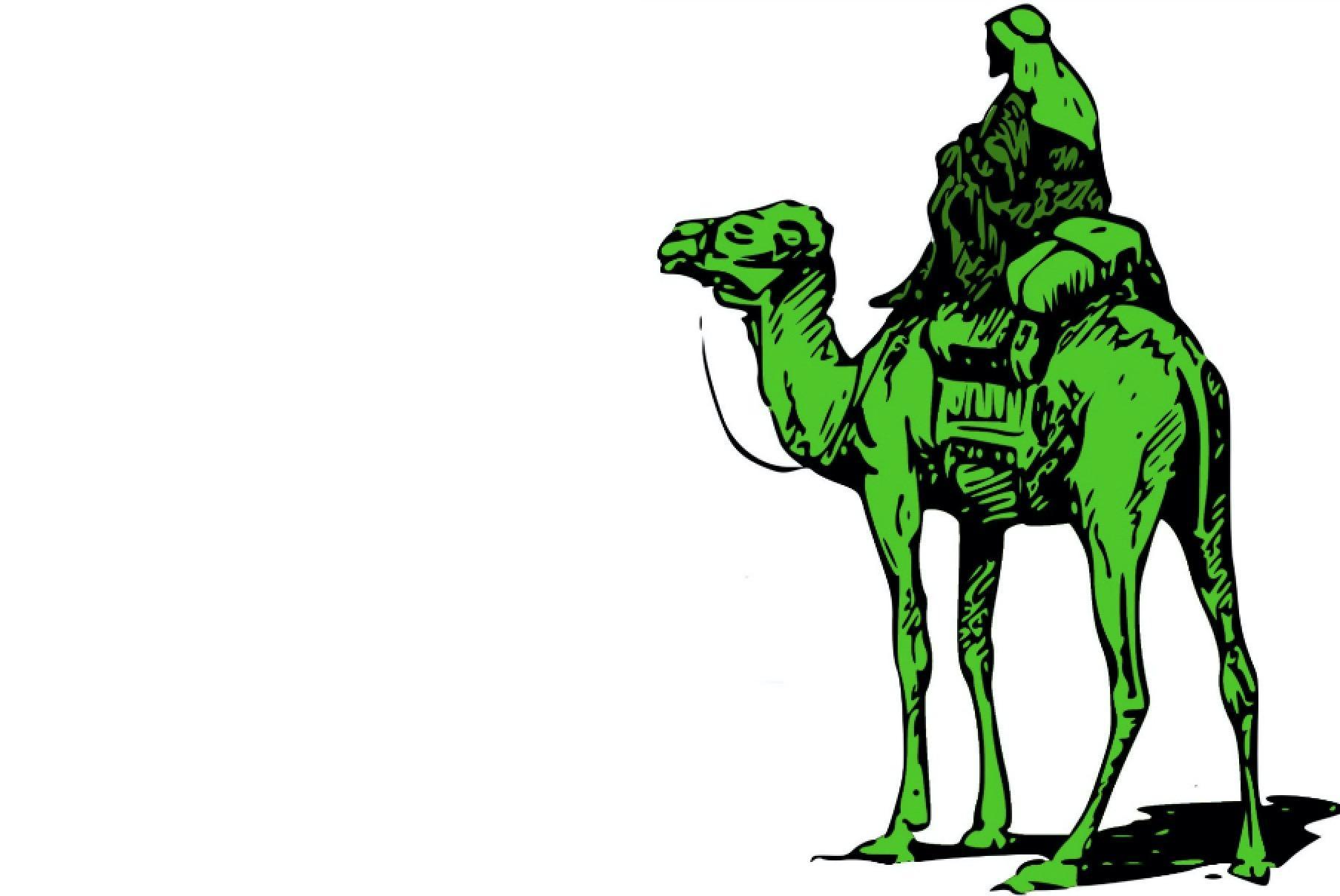 Dark Web Coen Brothers Writing New Film About Silk Road Kingpin 1806x1208 Dark Web Coen Brothers Writing New Film About Silk Road Kingpin