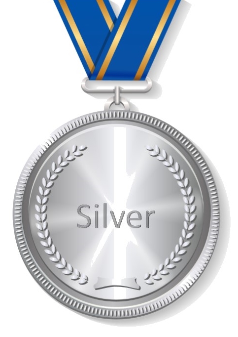 Silver Icon at Vectorified.com | Collection of Silver Icon free for ...