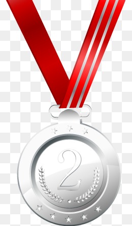 260x443 Silver Medal Icon