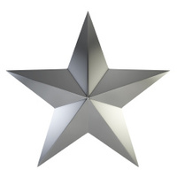 Silver Star Icon 200x200 Silver Star Icon