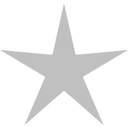 Silver Star Icon 256x256 Silver Star Icon