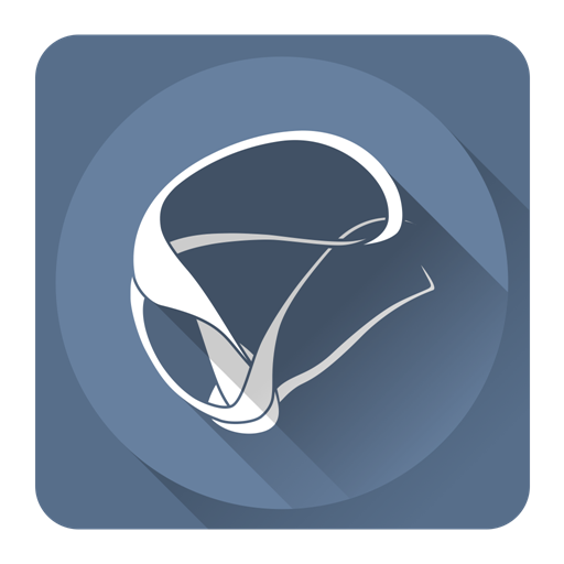 512x512 Silverlight Icon