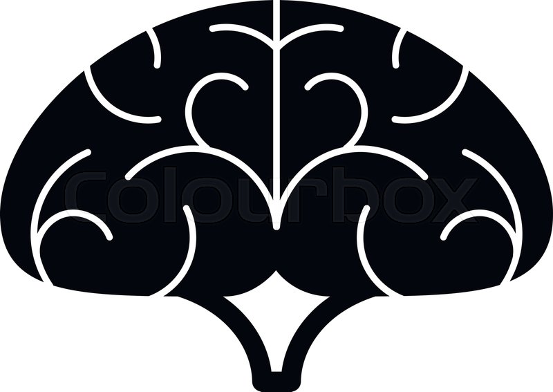 800x567 Bran Simple Illustration Of Stock Vector Colourbox