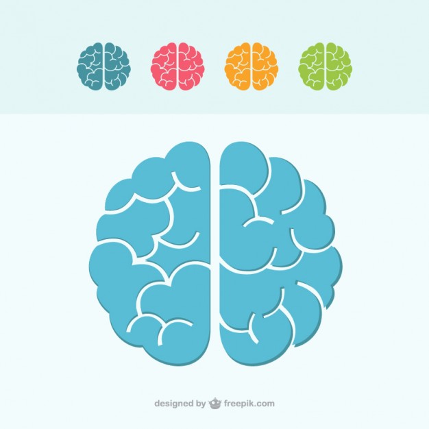 626x626 Colorful Brans Vector Free Download