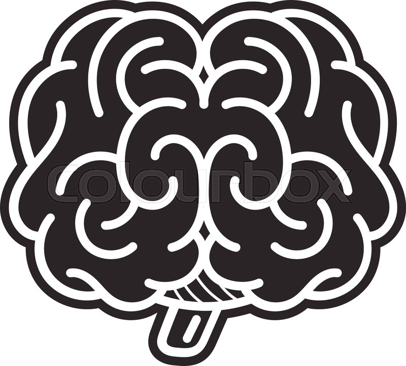 800x723 Front Bran Simple Illustration Stock Vector Colourbox