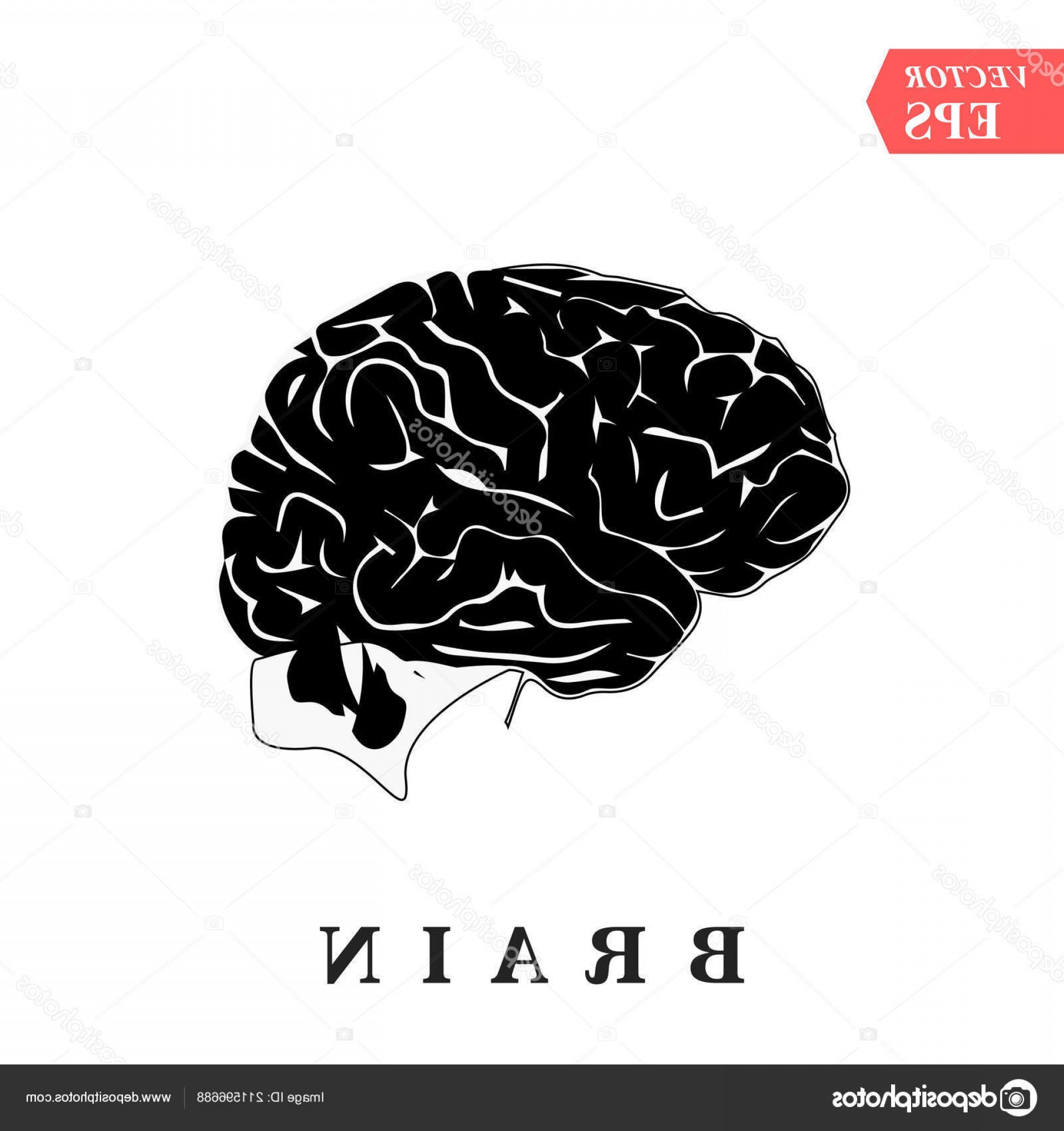 Simple Brain Icon at Vectorified.com | Collection of Simple Brain Icon