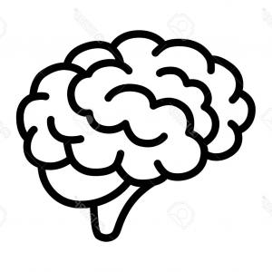 300x300 Brain Simple Side View Black Icon Intellect Vector Handandbeak