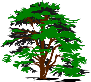 Simple Tree Png, Clip Art For Web 300x271 Simple Tree Png, Clip Art For Web