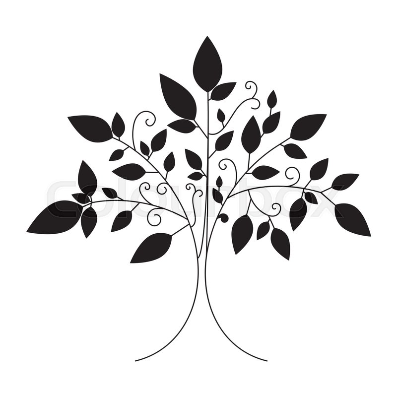 Vector Tree Emblem, Tree Icon For Stock Vector Colourbox 800x800 Vector Tree Emblem, Tree Icon For Stock Vector Colourbox