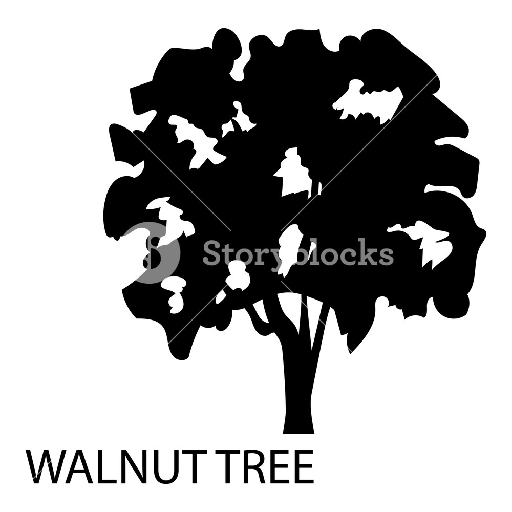 Walnut Tree Icon Simple Illustration Of Walnut Tree Vector Icon 1000x1000 Walnut Tree Icon Simple Illustration Of Walnut Tree Vector Icon