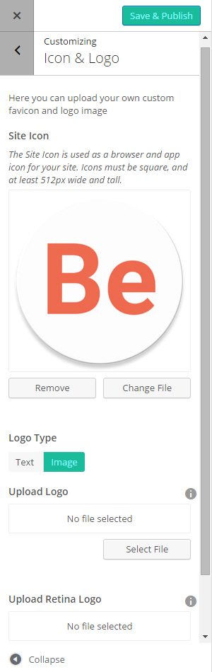 Theme Customizing Site Icon Logo 300x950 Theme Customizing Site Icon Logo