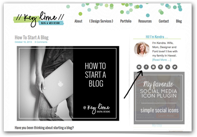 650x454 The Best Social Media Icon Plugin For Wordpress Tauni Everett