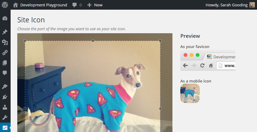 Wordpress Adds New Site Icons Feature And A Text Editor 848x437 Wordpress Adds New Site Icons Feature And A Text Editor