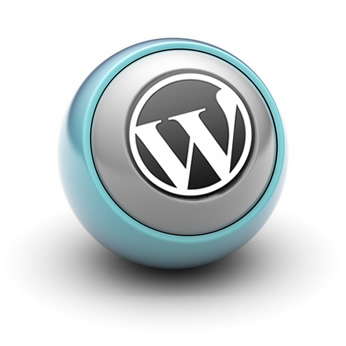 Wordpress Services Icon 346x346 Wordpress Services Icon