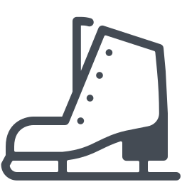 Skate Icons 256x256 Skate Icons