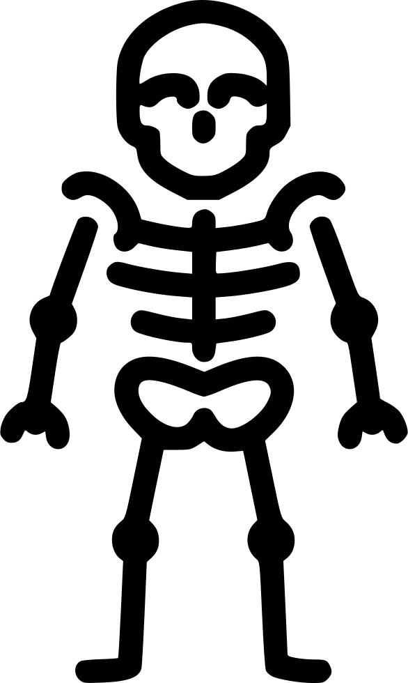 586x980 Skeleton Anatomy Bones Skull Png Icon Free Download