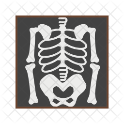 256x256 Skeleton Icon Of Flat Style
