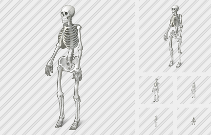 432x276 Skeleton Icon Vista Medical Professional Stock Icon And Free