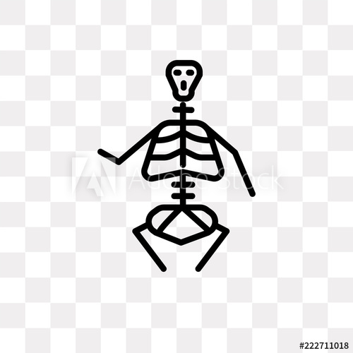 500x500 Anatomy Class Skeleton Icon On Transparent Background Modern