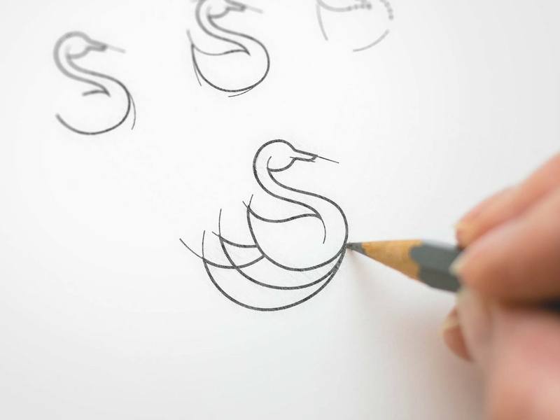 Duck Icon Sketch 800x600 Duck Icon Sketch