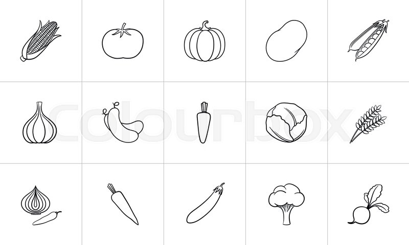 800x480 Agriculture Food Sketch Icon Set For Stock Vector Colourbox
