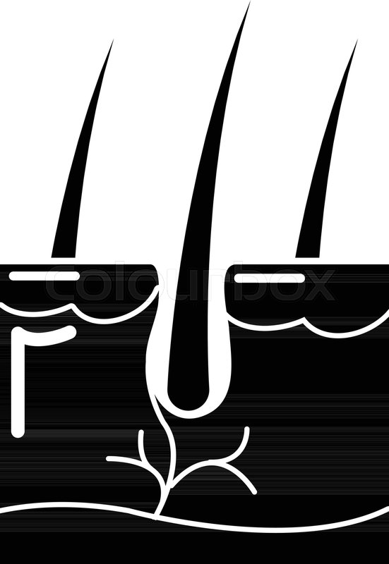 551x800 Hair Skn Simple Illustration Stock Vector Colourbox