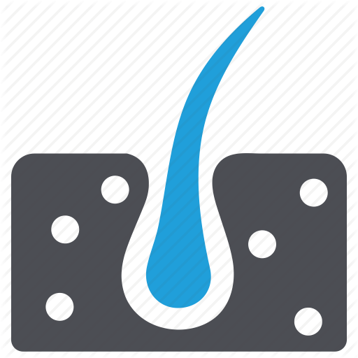 512x512 Skn Png Vector, Clipart