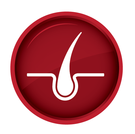 470x464 Skin And Coat Icon