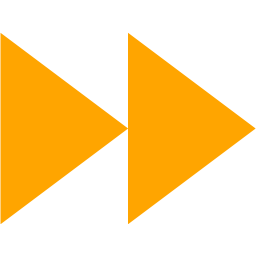 256x256 Orange Media Skip Forward Icon