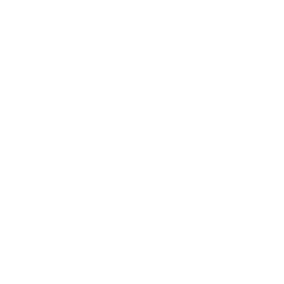 256x256 White Media Skip Forward Icon